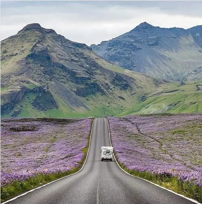 成年人不做選擇題，自由與安穩我都要！